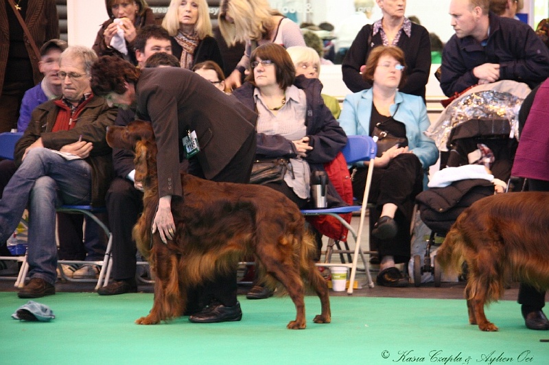 Crufts2011 691.jpg